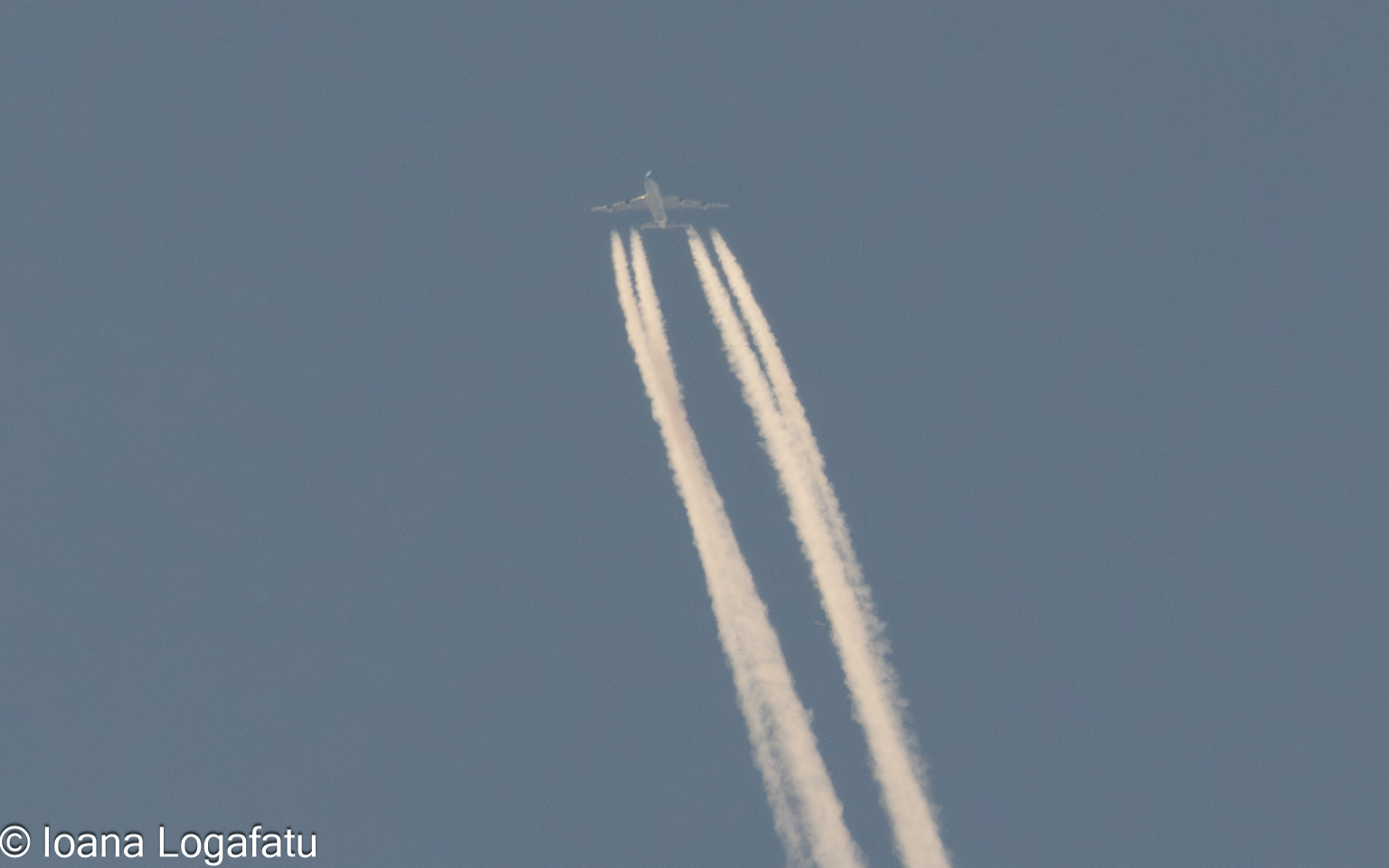 Majestic aircraft soaring through clear skies